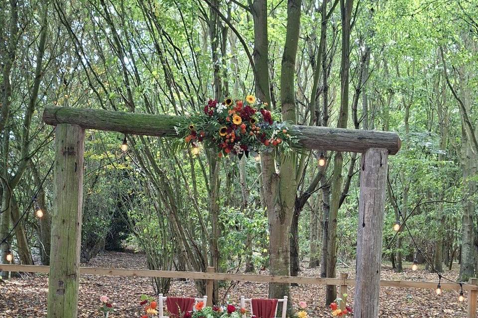 Autumnal set up