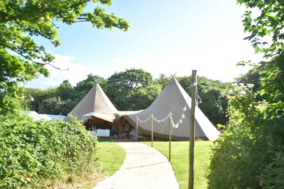 Tipi set up in the meadow