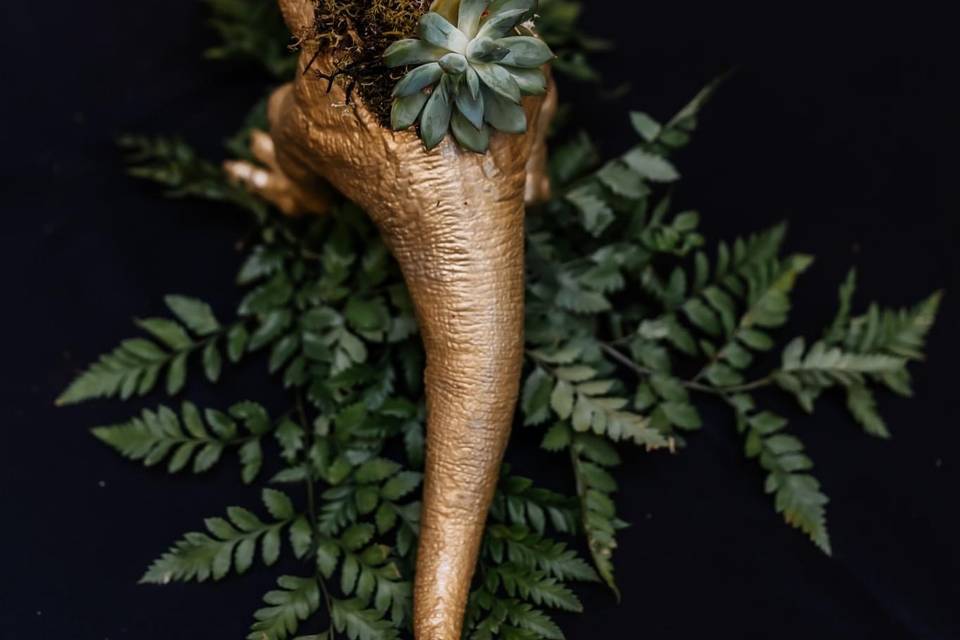Dino Terrarium