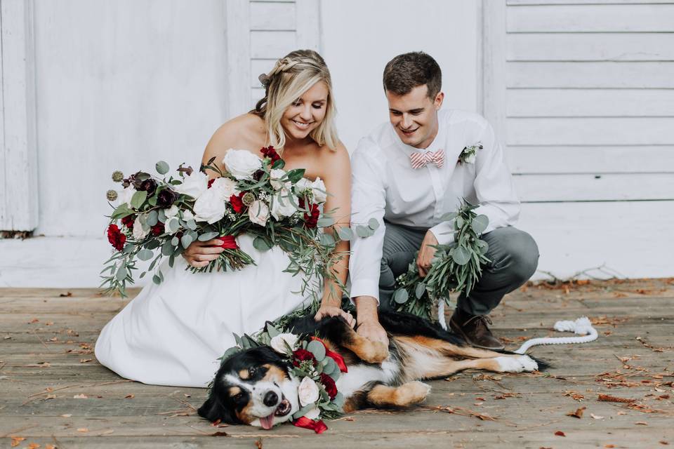 Couple with dog at wedding