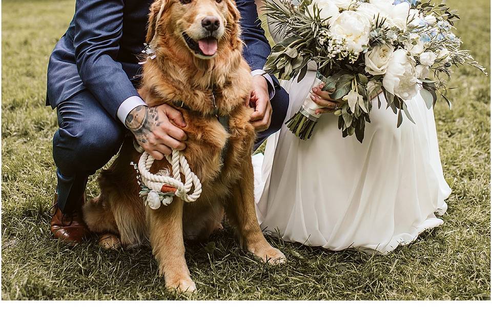 Couple wedding photos with dog