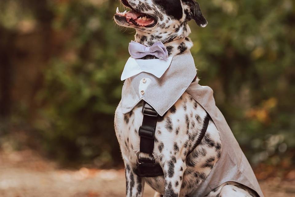 Lucky posing for photo