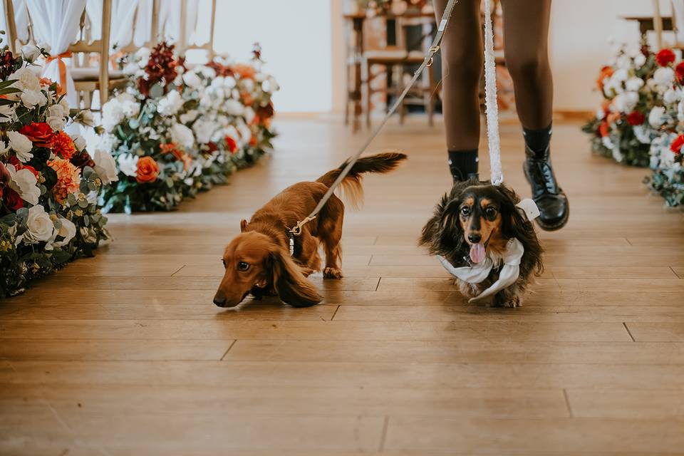 C&K walking down aisle