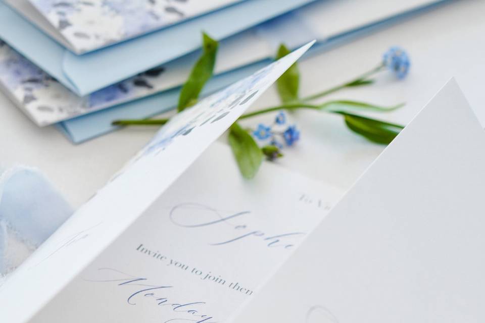 Pastel Blue floral invitation