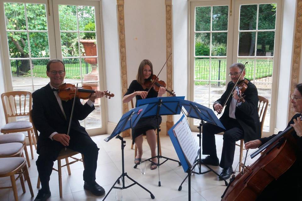 Manor House String Quartet 15
