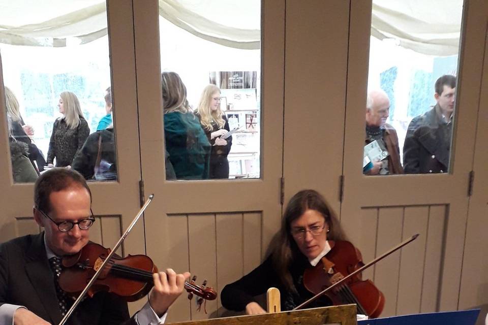 Manor House String Quartet