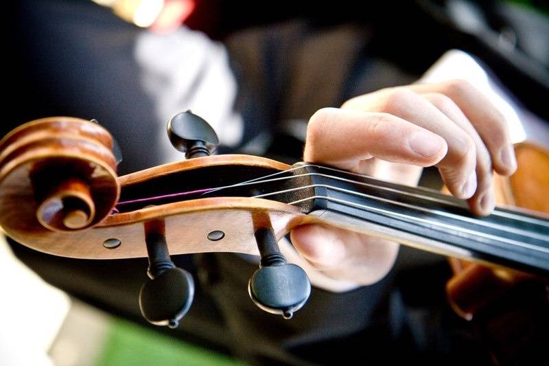 Violin closeup