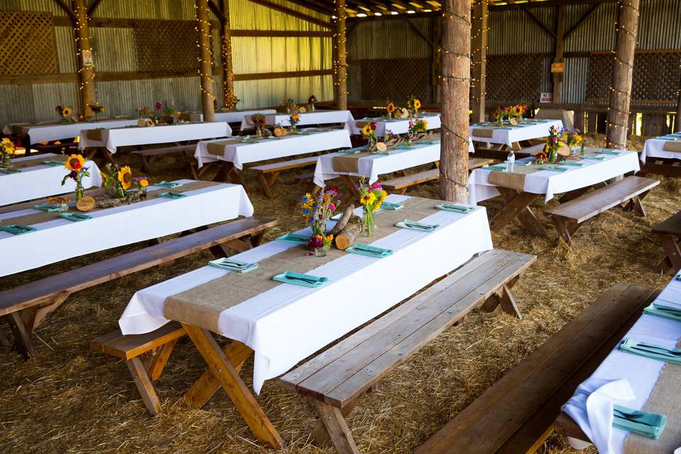 Picnic Barn Wedding