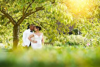 David King Photographer