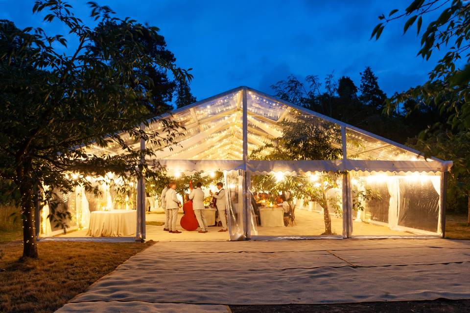 Magical clear marquee