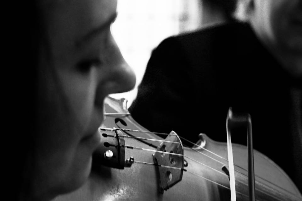 Violin for Weddings