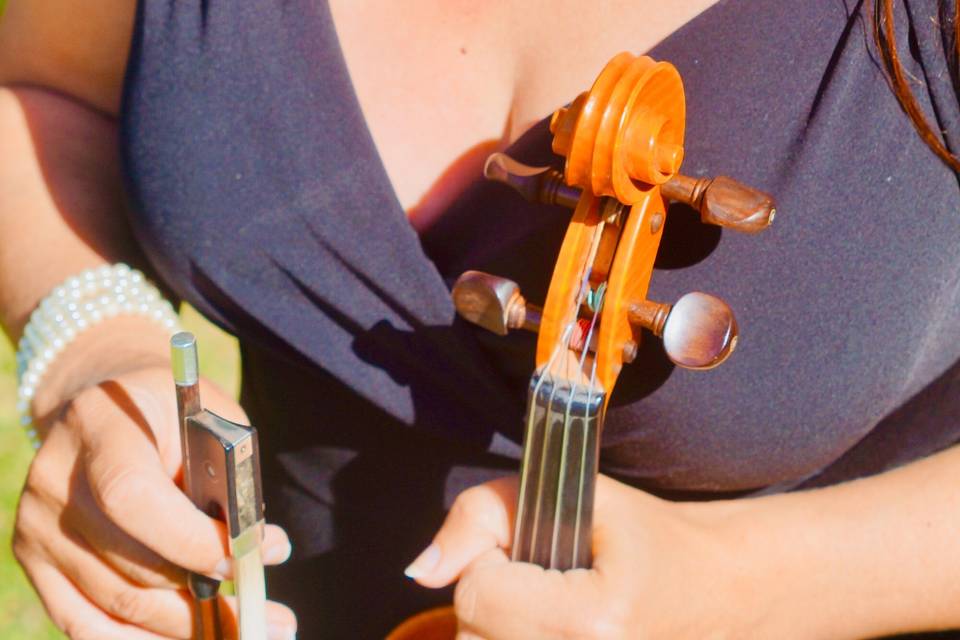 Violin for Weddings