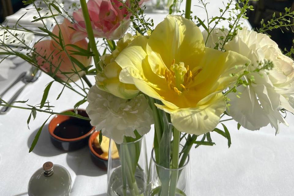 Spring delights