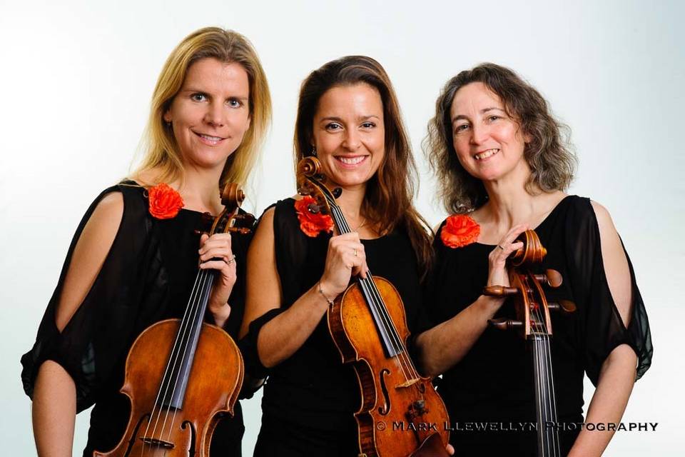 Saffron Strings trio