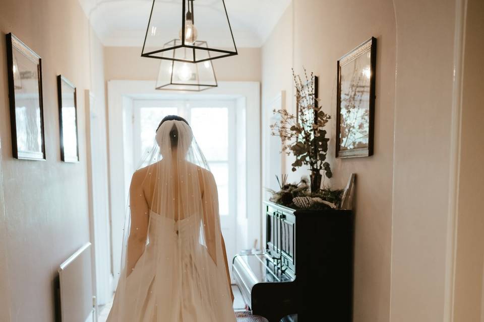 Ball gown dreams