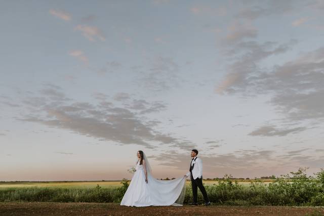 Farm background