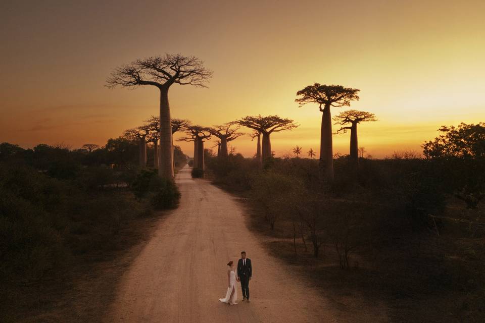 Matrimonio