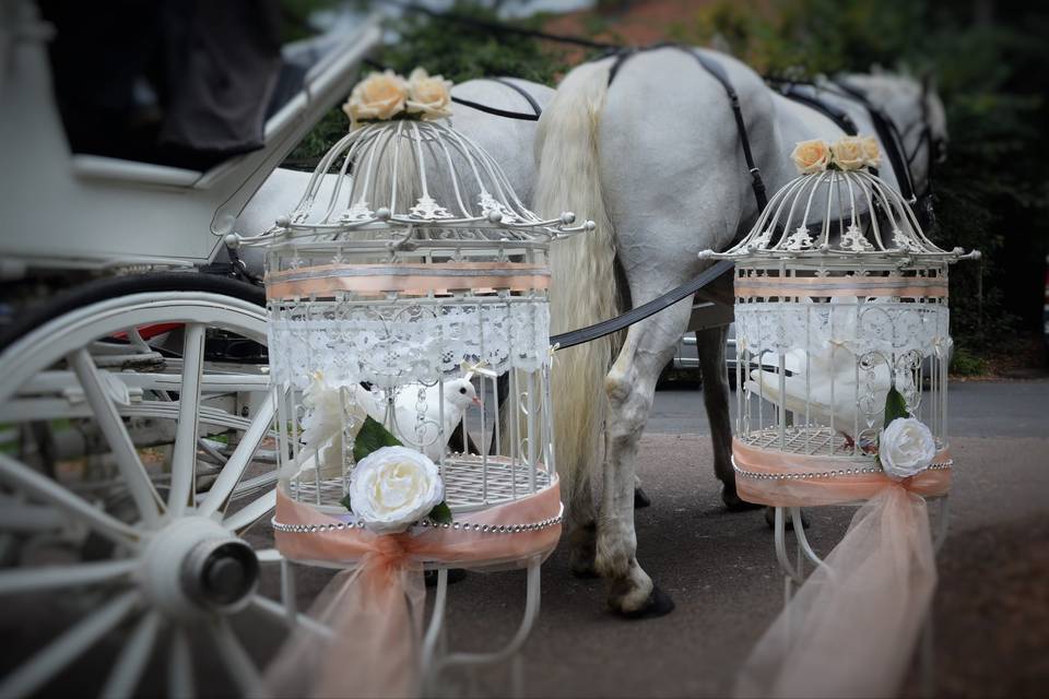 Vintage birdcages