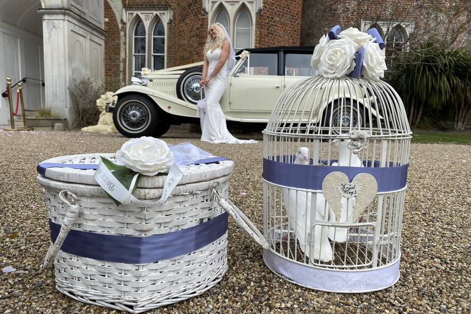 Doves Bride Car