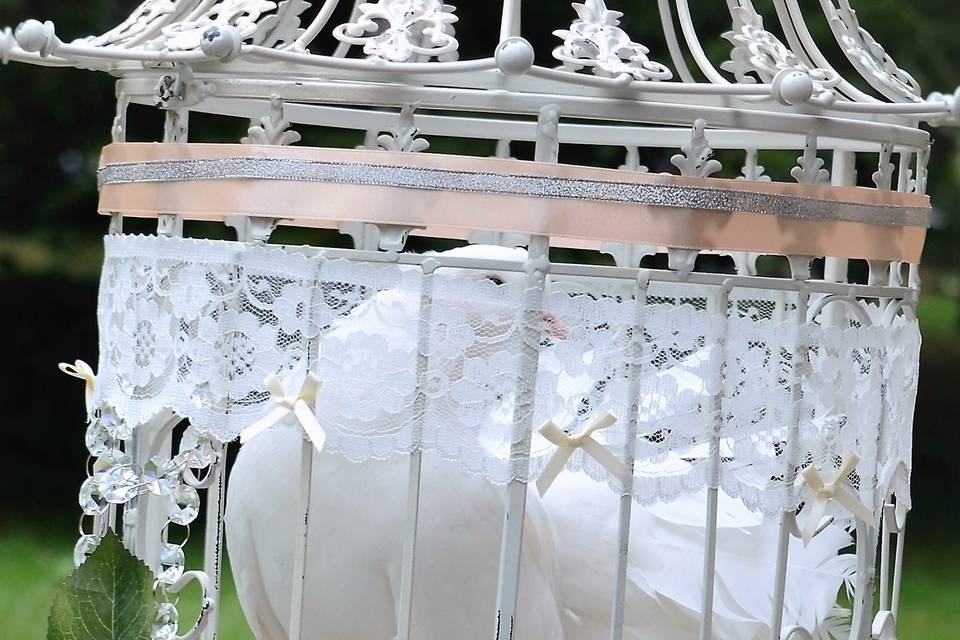 Decorative dove cage