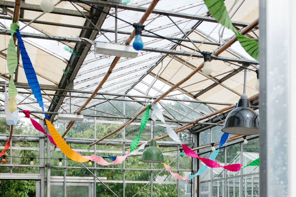 The Glasshouse