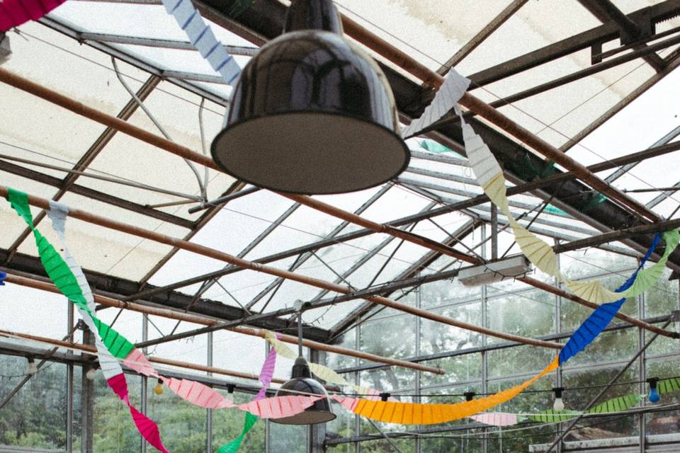 The Glasshouse