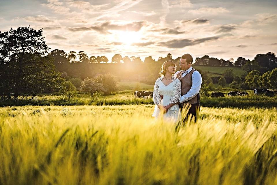 The Ashes Barns and Country House