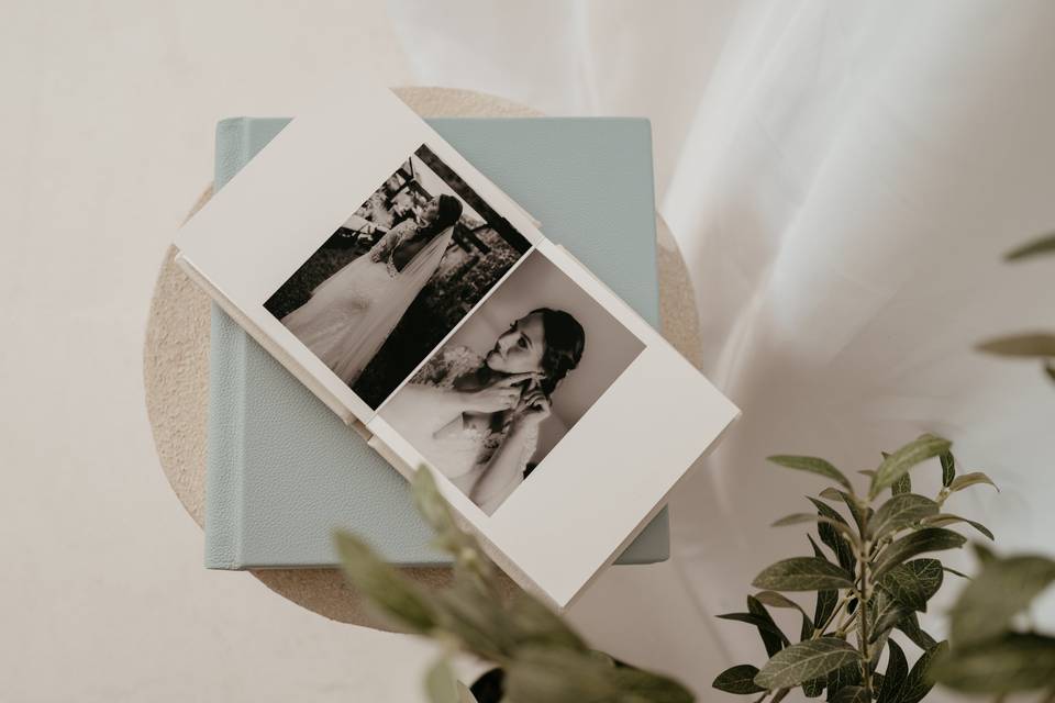 Inside a Fine Art Album