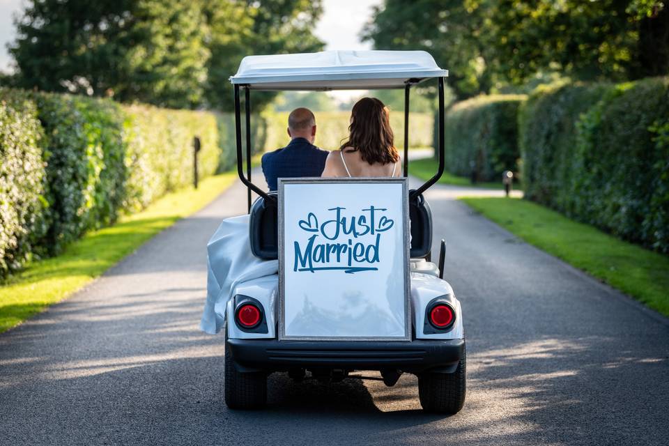 Wedding Buggy 3