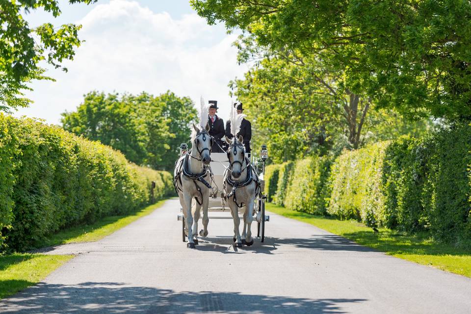 Horse and cart