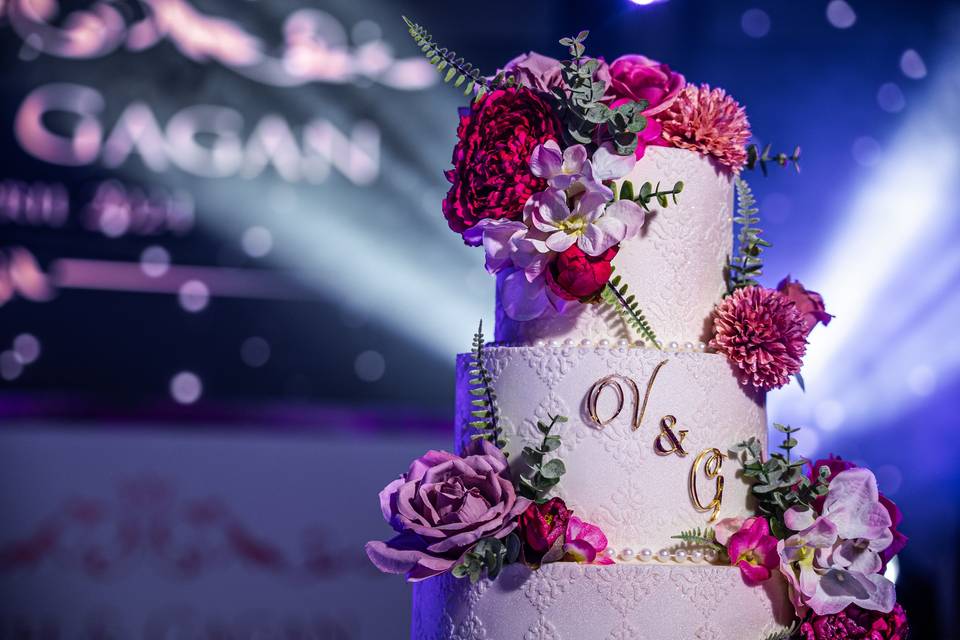 Vish & Gagan - Day 03