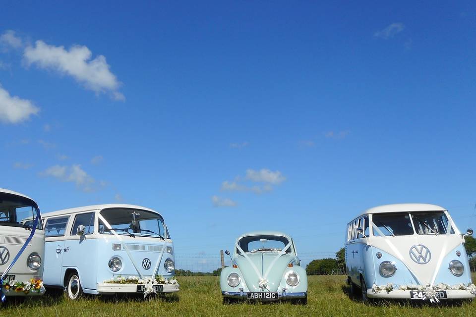 Our four classic VWs