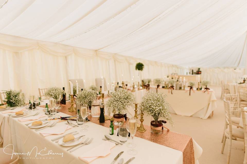 Top Table in the marquee