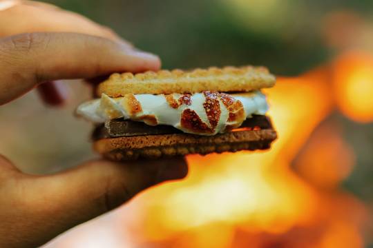 S'mores!