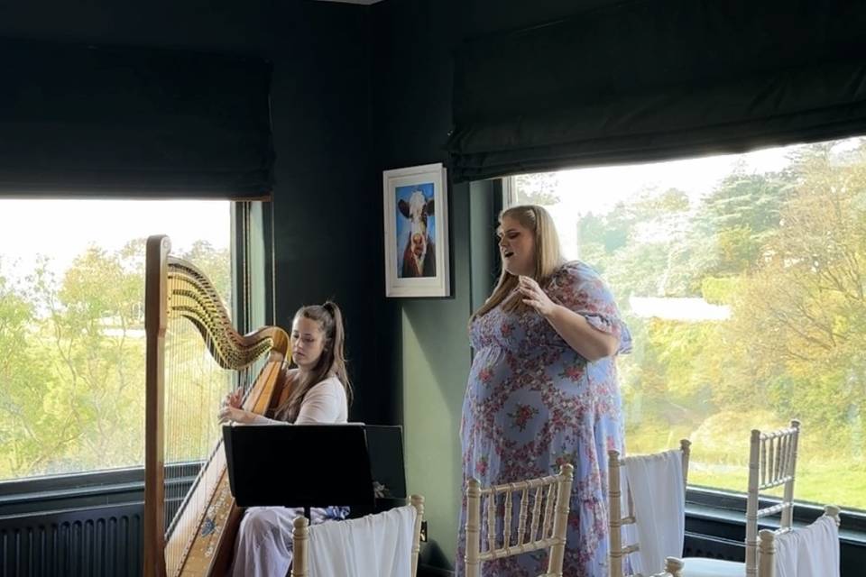 Collaboration with a harpist