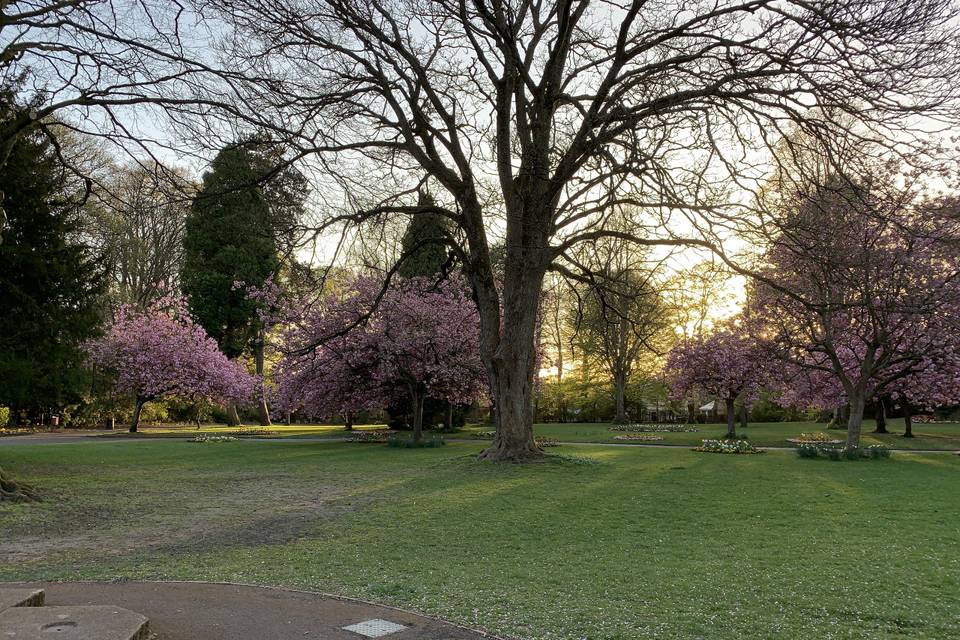 Town Gardens