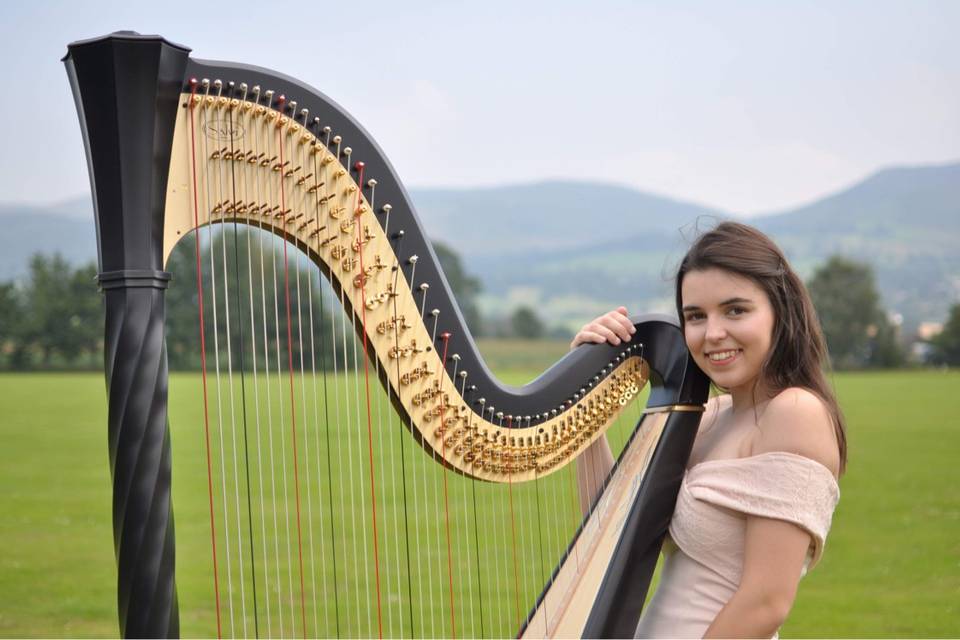 Beautiful harp