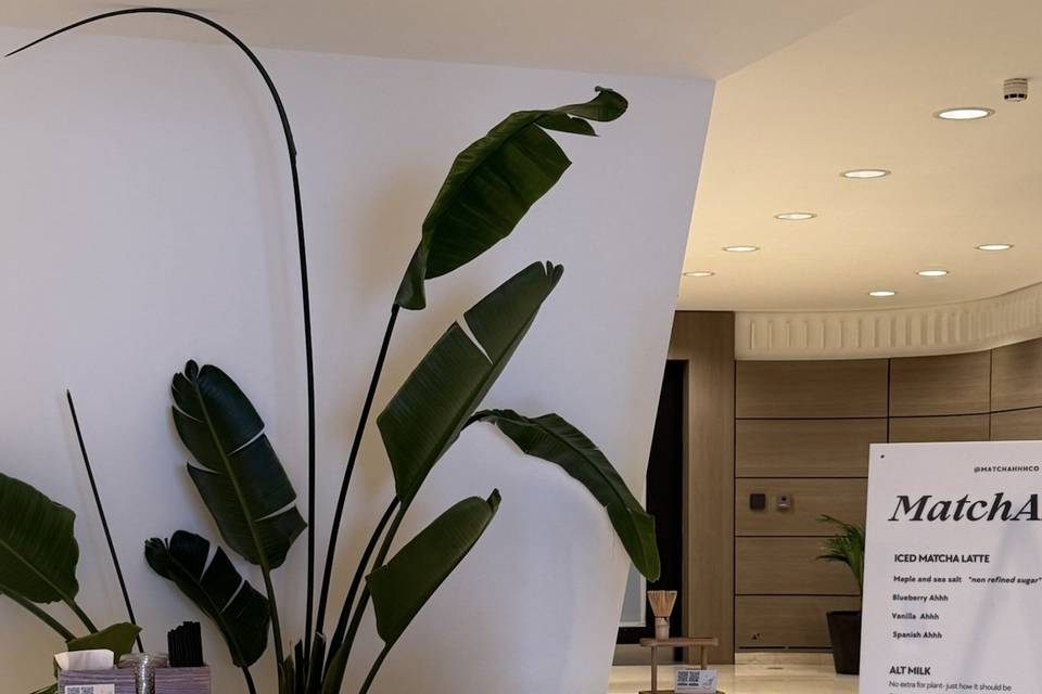 Matcha Bar: indoors