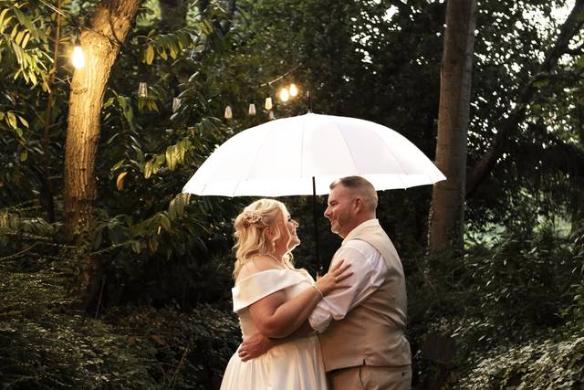 Umbrella in the jungle