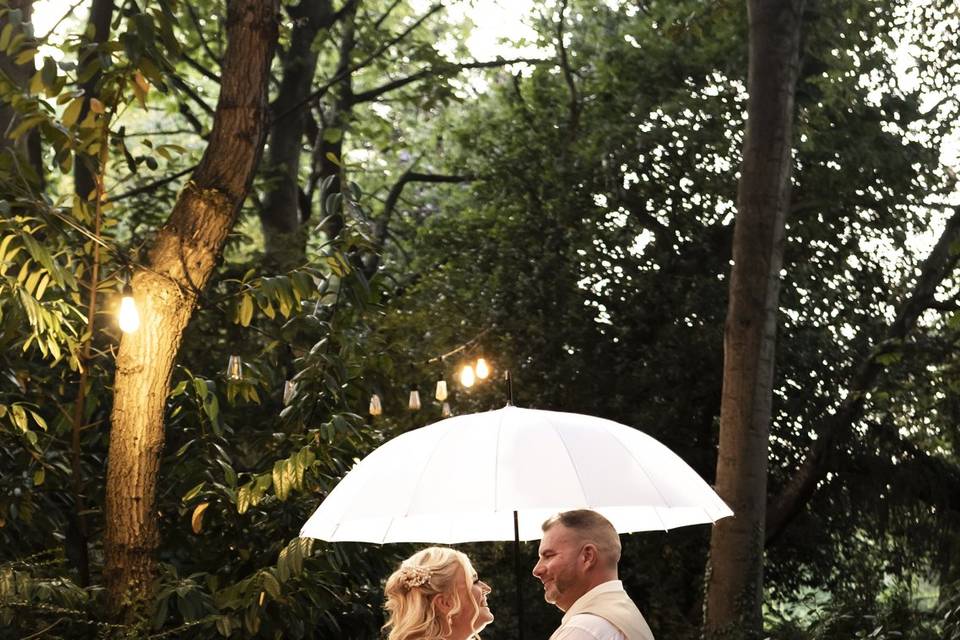 Umbrella in the jungle