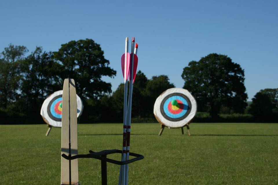 Archery for the Hen