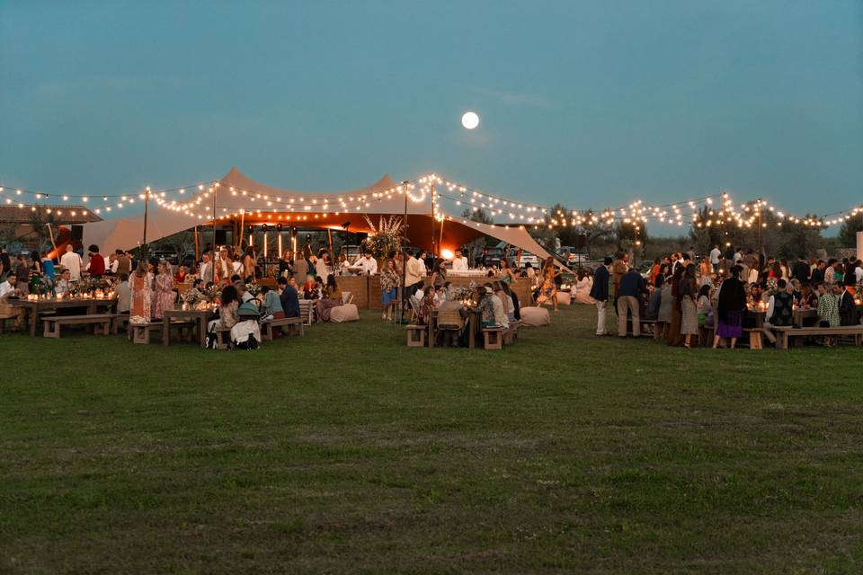 Party tent in the garden