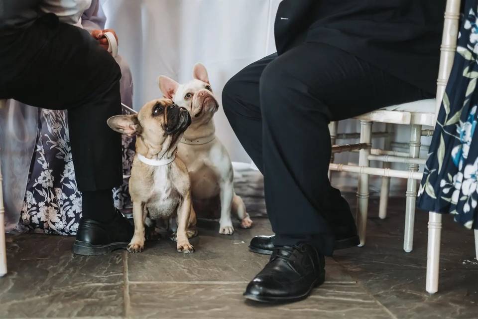 Samuelgeorge.org