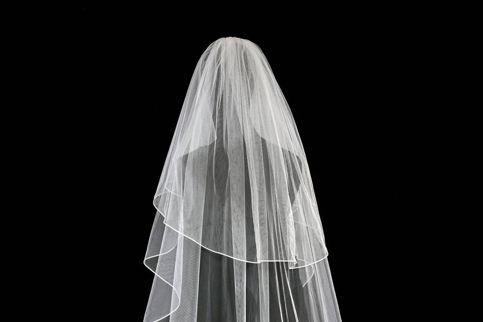 VEILS