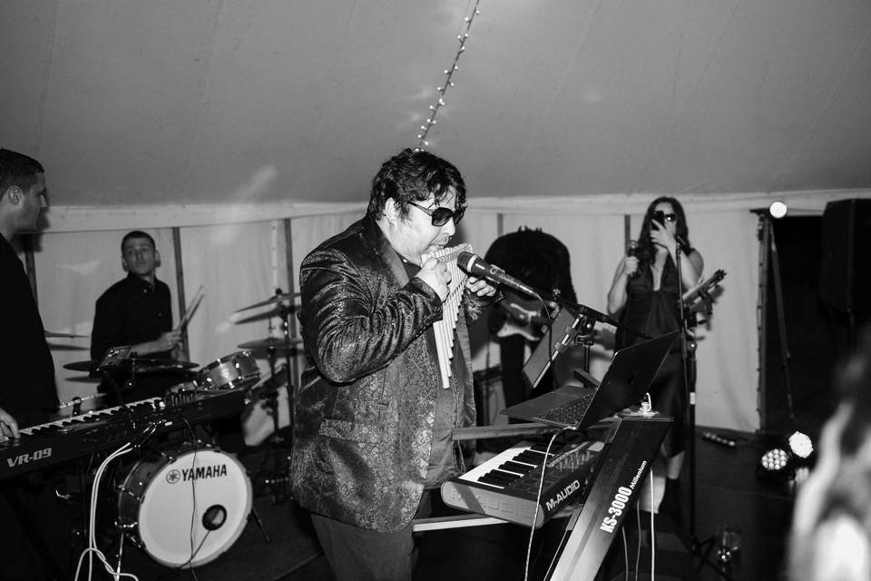 Luna Social Club