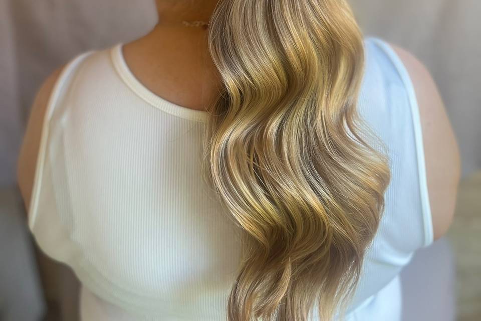 Low Hollywood style pony