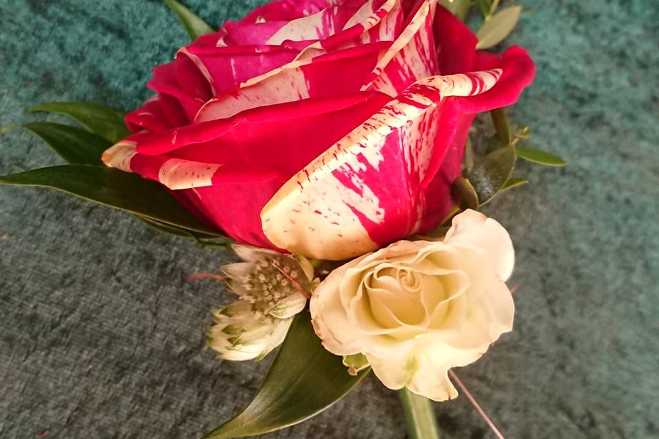 Groom buttonhole