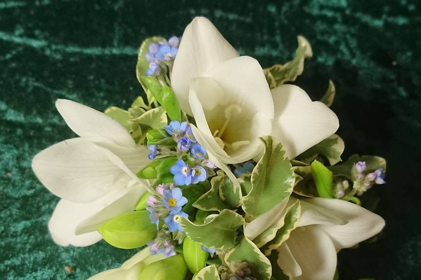 Groom Buttonhole