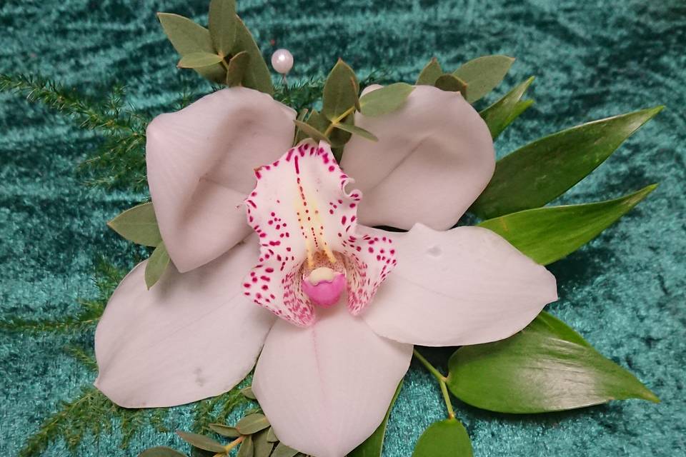 Orchid buttonhole