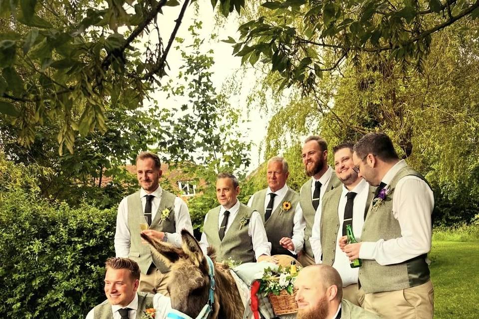 Donkey at wedding